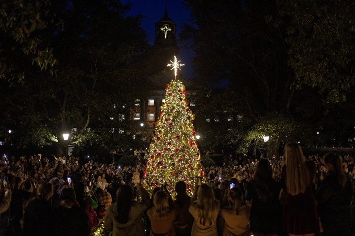 Tree Lighting