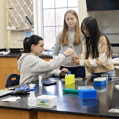 Biology Students Doing Experiment