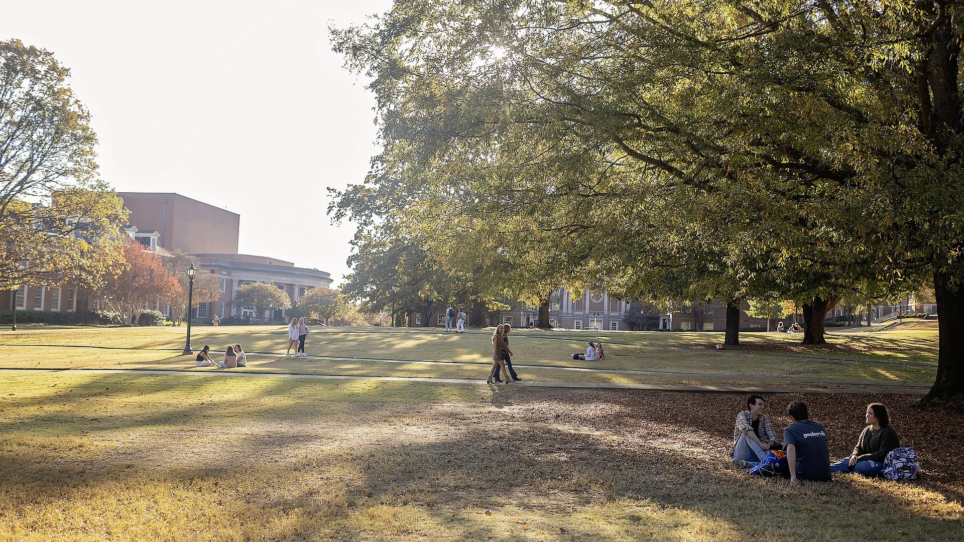 peaceful campus