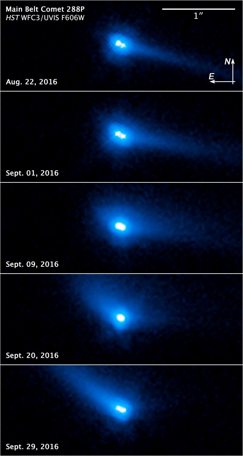 Main belt comet 288P