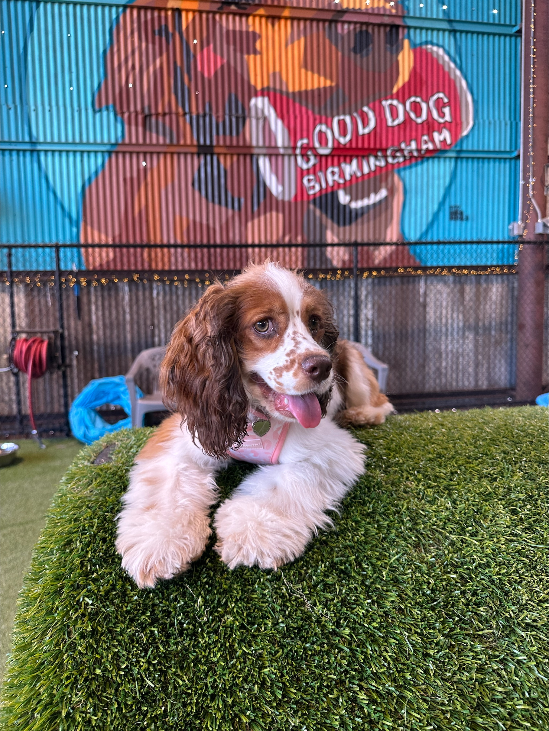 March 2026 Rascal of the Month