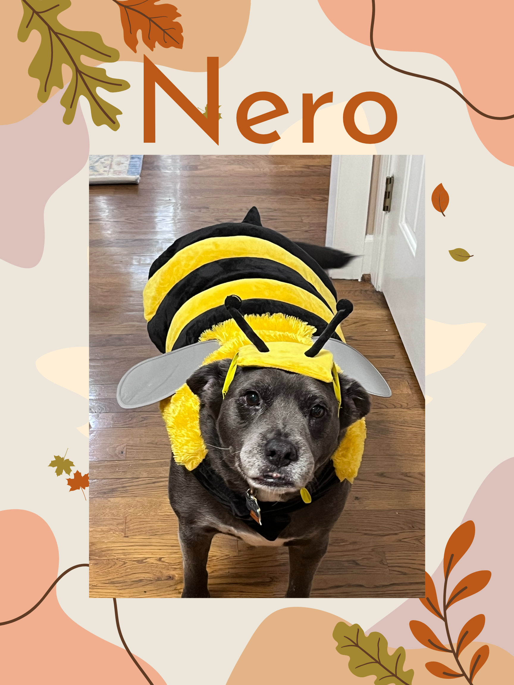 Nero