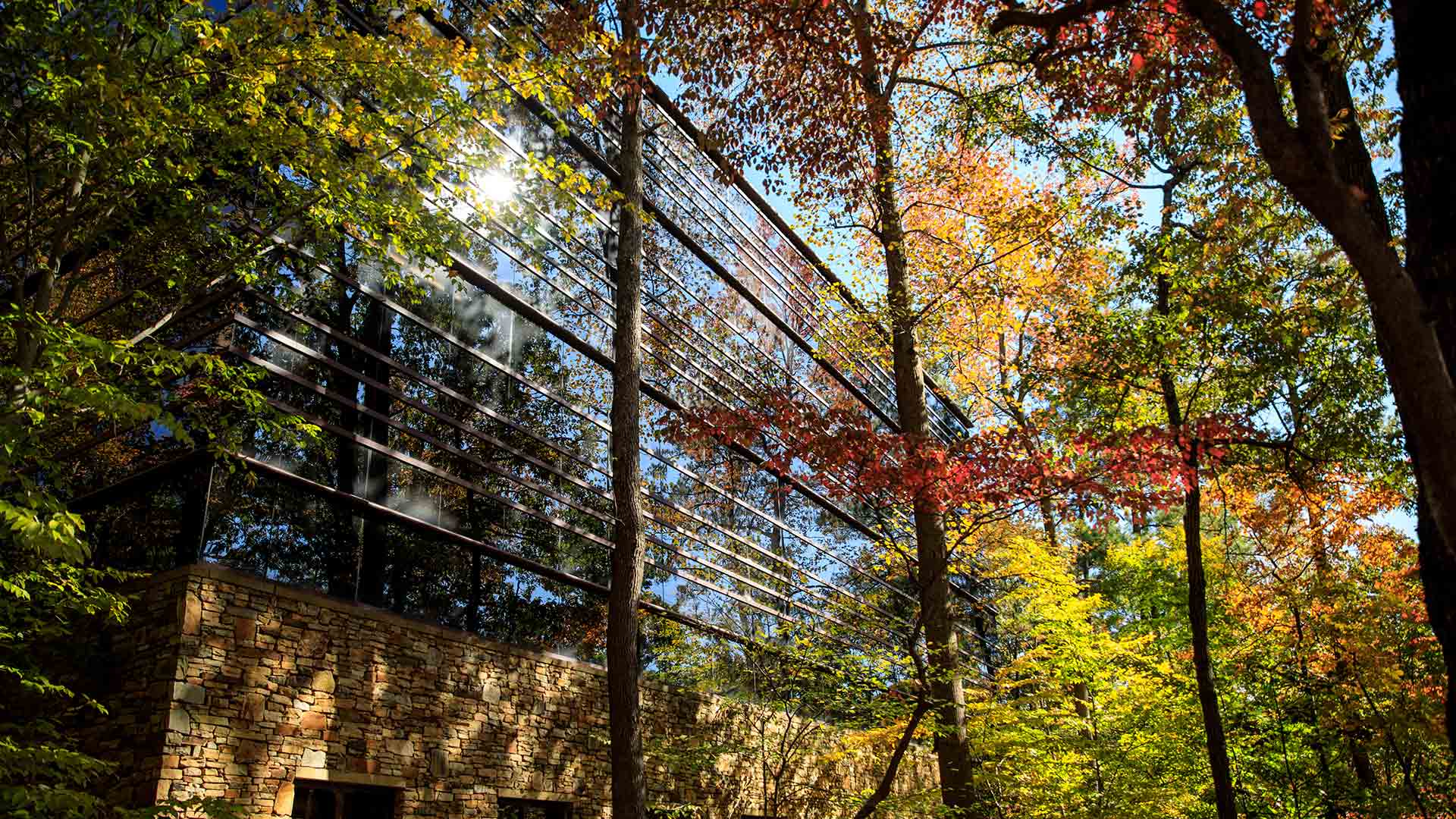 Male and Female Students Atrium
