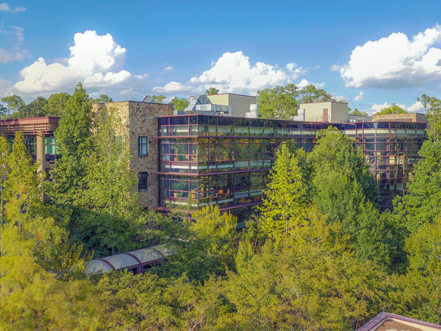 college of health sciences