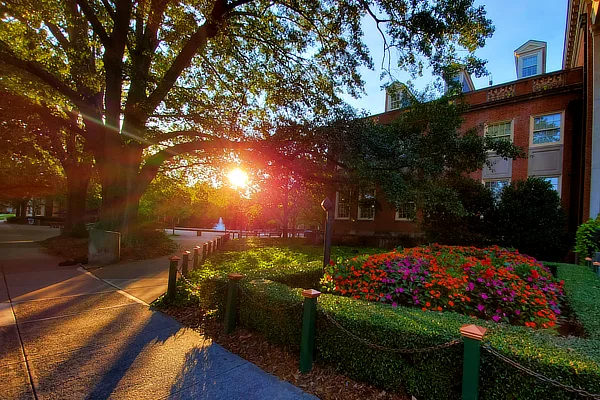 samford gorgeous sunset