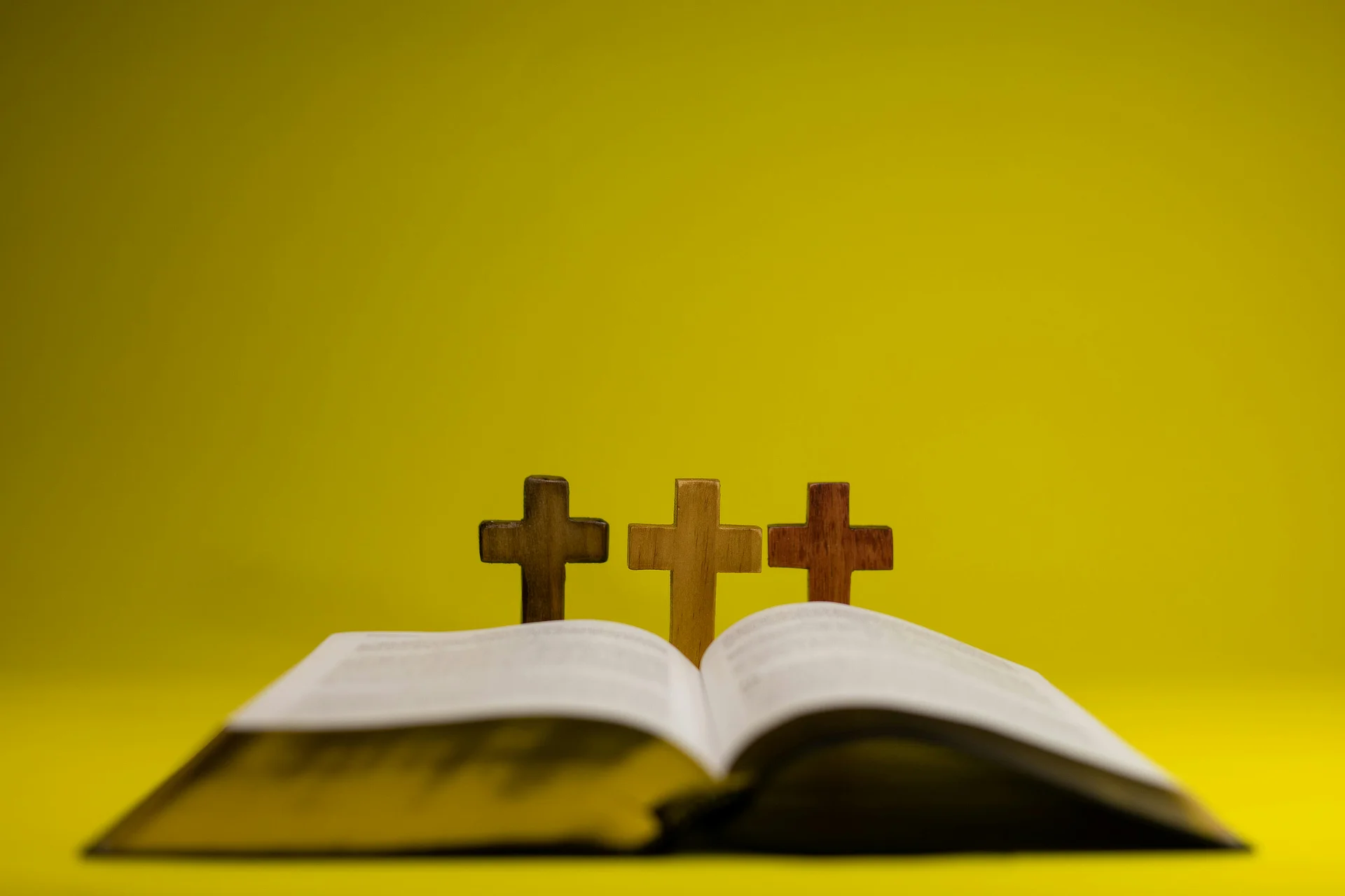 Bible and Crosses