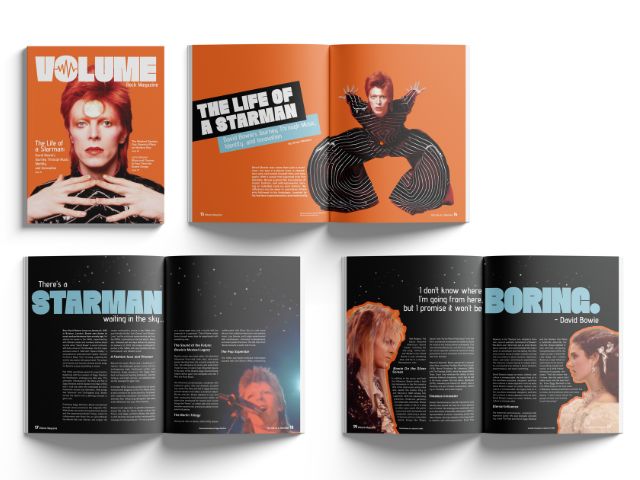 Erin-Elliott-Volume-Magazine-for-David-Bowie